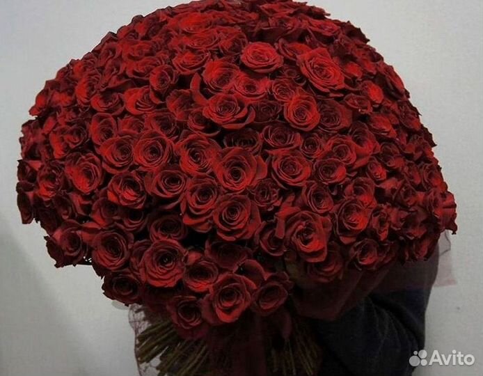 Розы высокие Доставка цветов