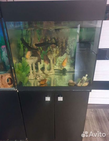 Аквариум