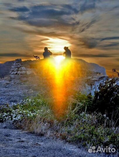 Друг, собеседник