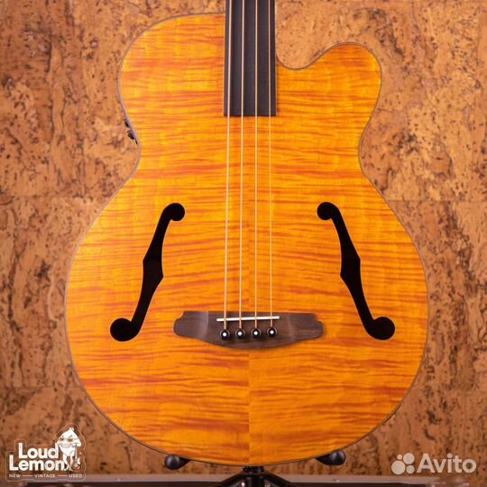 Aria FEB-F2/FL Stained Brown 2020's China