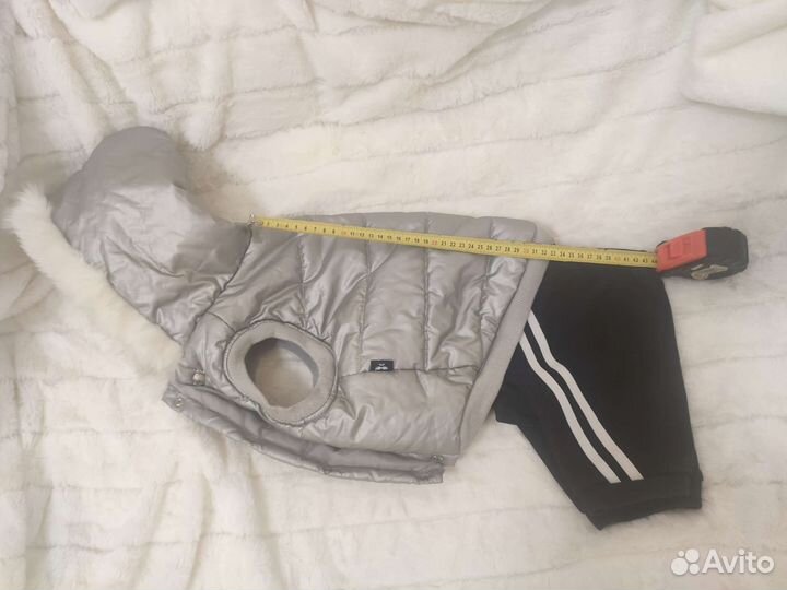 Одежда для собак