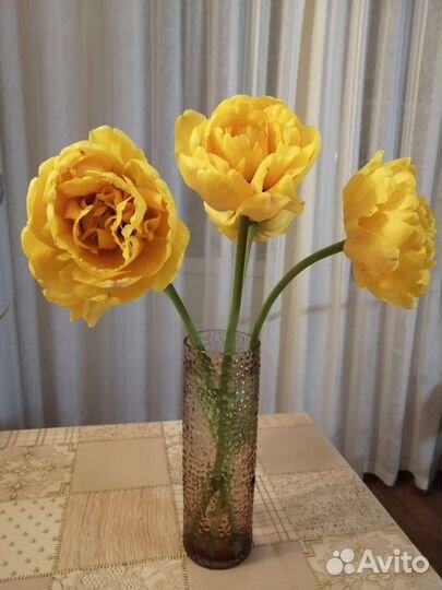 Тюльпаны махровые луковицы