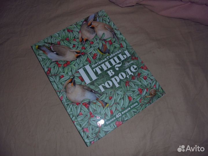 Птицы в городе Н.Габеева Аванта 2022