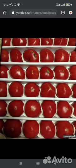 Ишу бизнес партнёр по прадажа