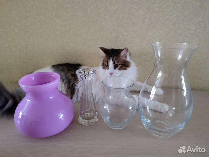 Ваза для цветов стекло