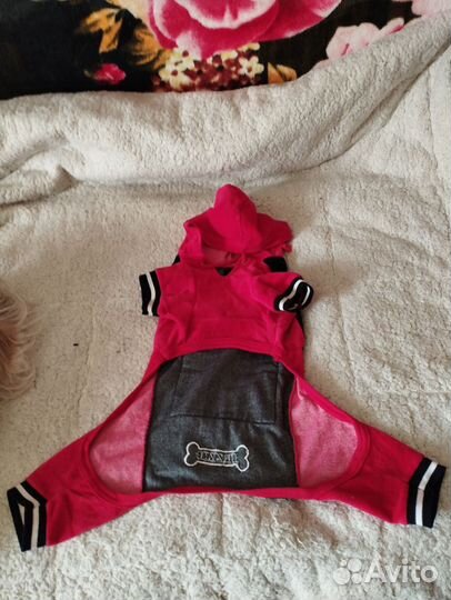 Комбинезон для пёсика велюровый