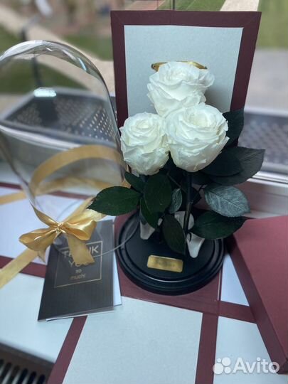 Роза в колбе