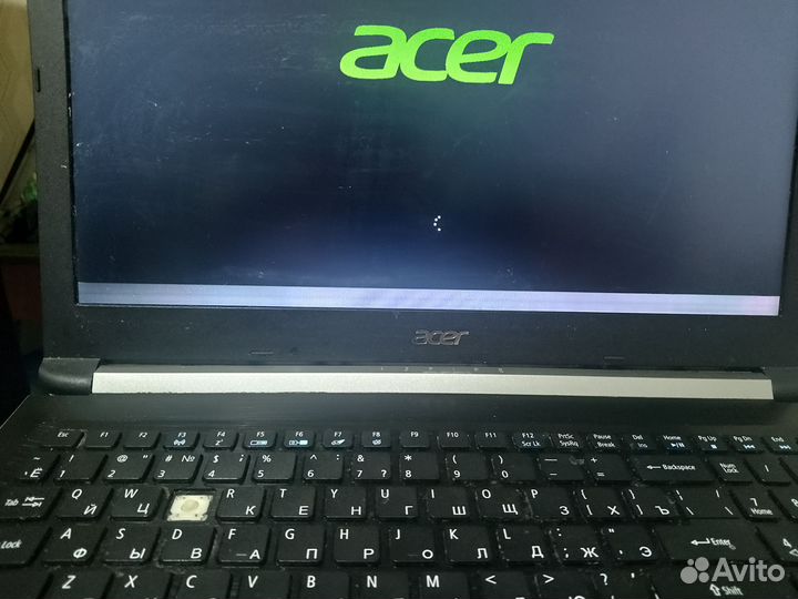 Acer