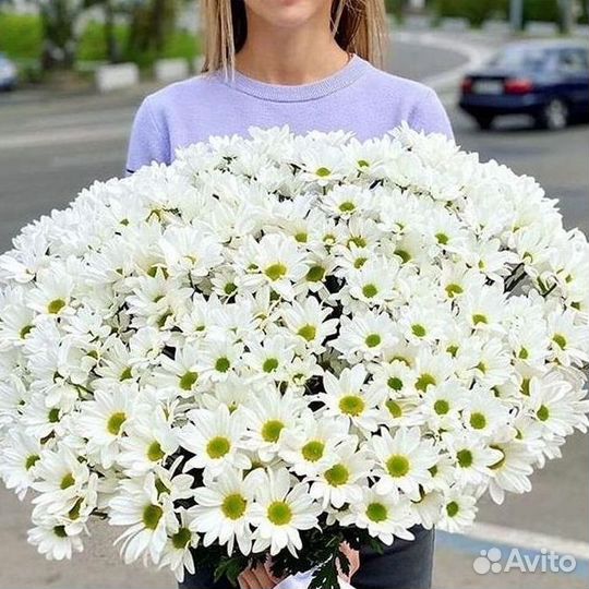 Хризантема. Букеты Цветы доставка