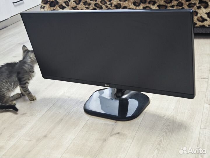 Монитор LG 25UM58 2560x1080 60гц