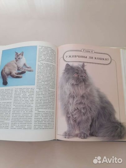Книги - альбомы про кошек и собак