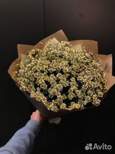 Букет из 31 ромашки