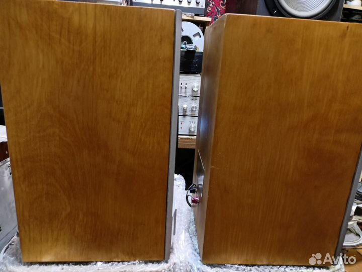 Колонки Электроника 75 ас 128