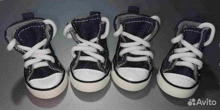 Кеды для собаки