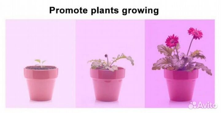 Фитодиод Полного спектра (красный+синий) 220В.50W