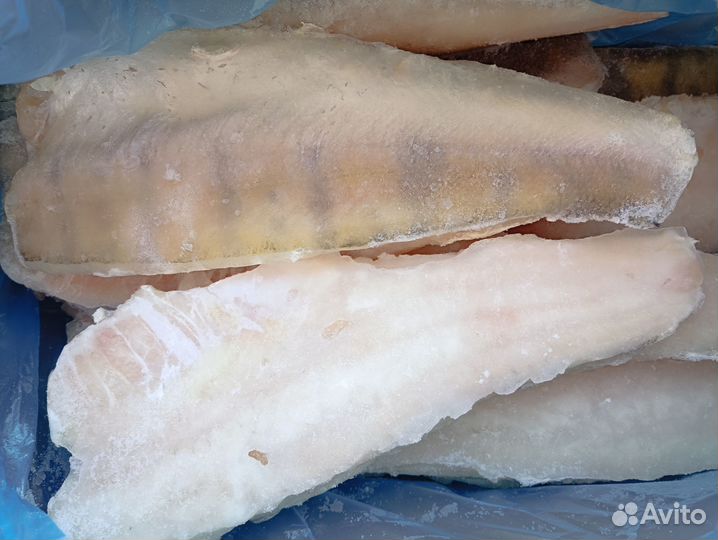 Новинка Филе судака на коже 400+ с/м