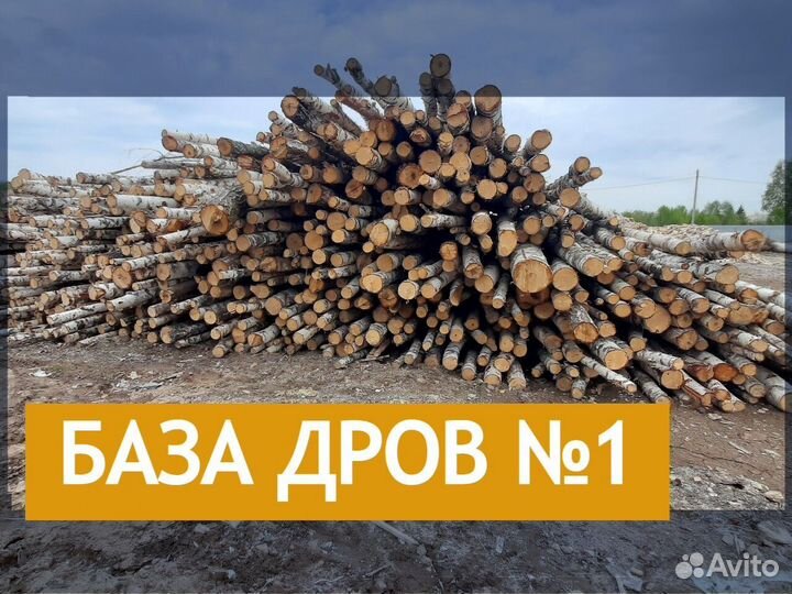 Сухие дрова