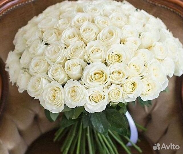 Высокие Розы Гиганты Доставка Круглосуточно