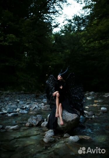 Крылья черные