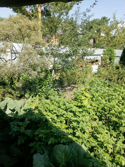 Участок 4,3 сот. (СНТ, ДНП)