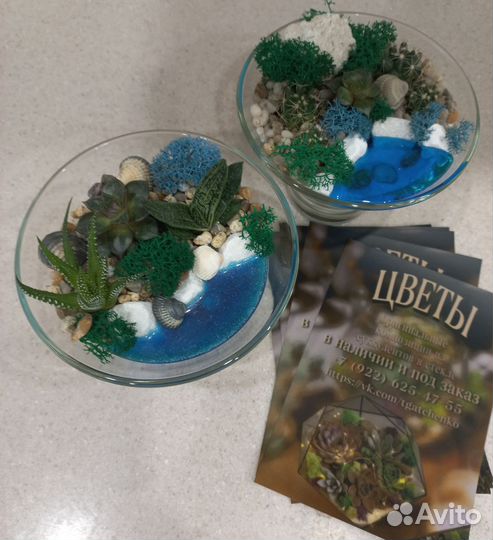 Флорариум подарок цветы