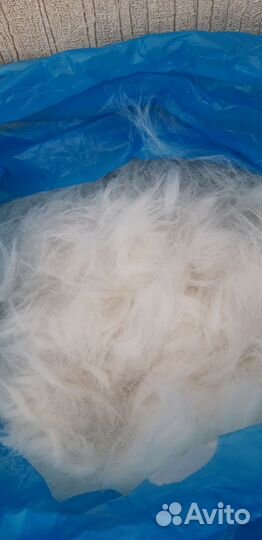 Шерсть белоснежной хаски