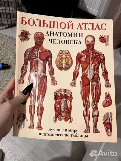 Большой атлас по анатомии