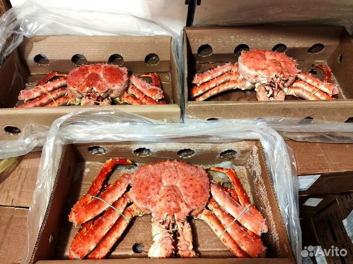 Краб камчатский. Оригинальный подарок