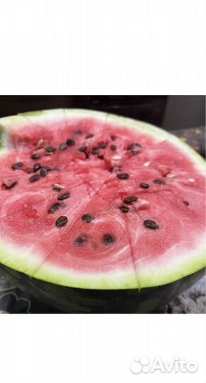 Семена арбуза и дыни