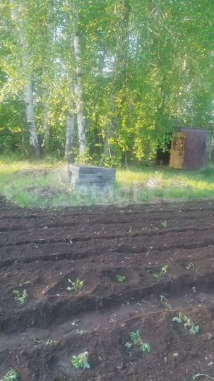 Участок 5,4 сот. (СНТ, ДНП)