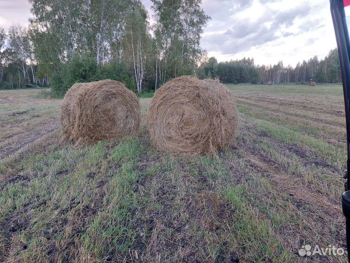 Сено в рулонах