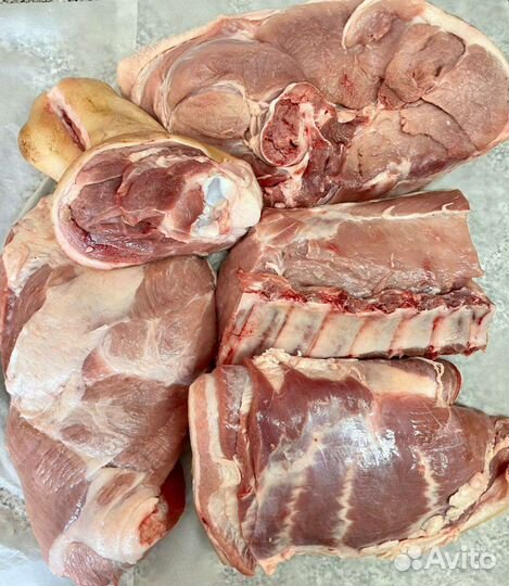 Мясо свинина