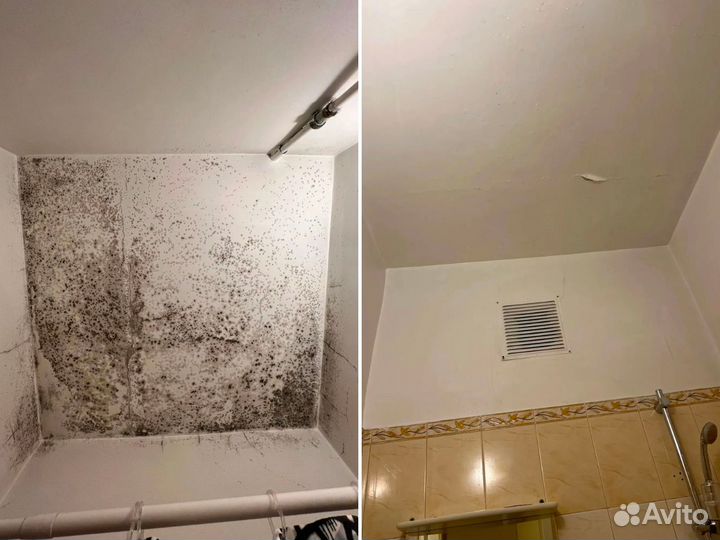 Обработка от тараканов дезинсекция