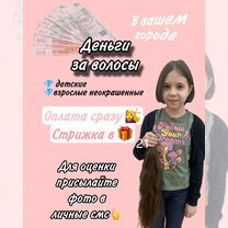 Скупка волос/деньги за волосы/ продать волосы, Северодонецк
