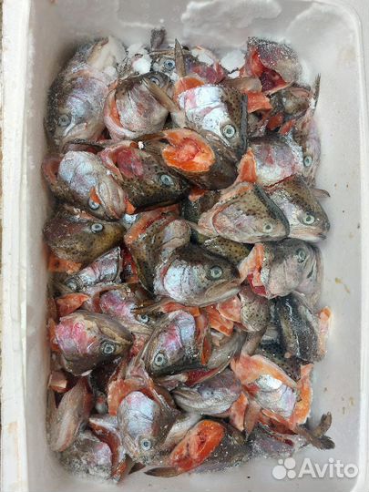 Мясо для собак