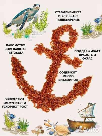 Гаммарус тушка. Вылов 2023 года