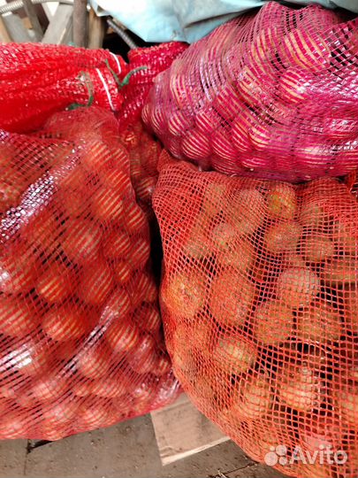 Продажа картофеля