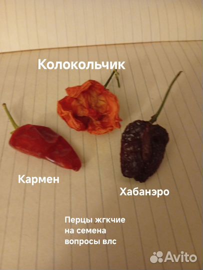 Жгучие перцы для семян