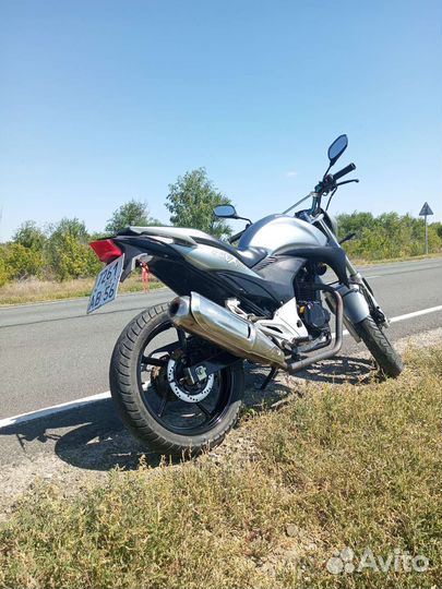 Стелс флекс 250