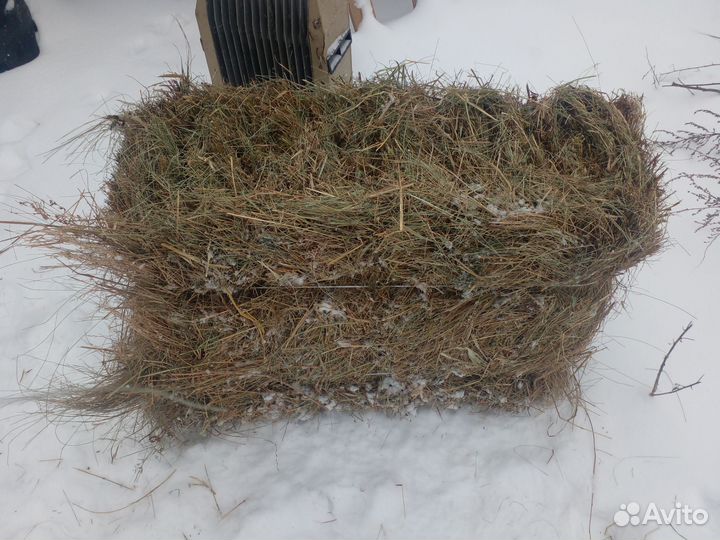 Сено в тюках