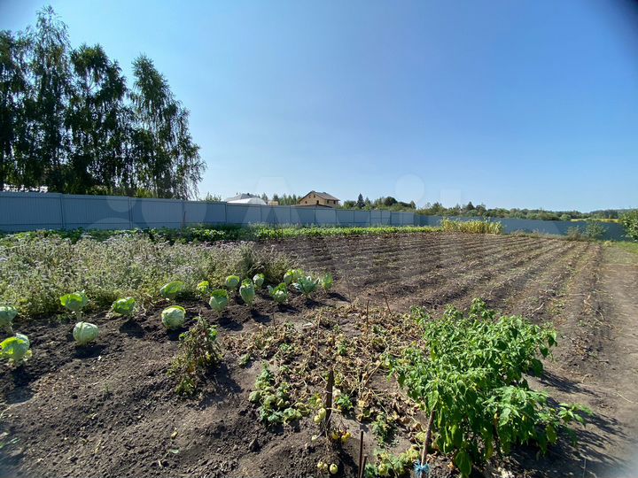 Участок 16,5 сот. (ИЖС)