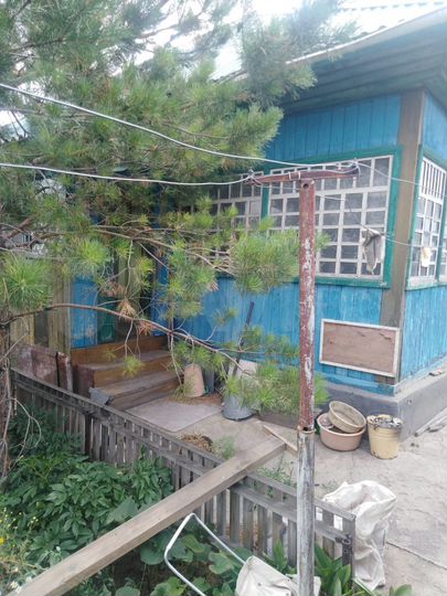 Дом 55,4 м² на участке 5,1 сот.