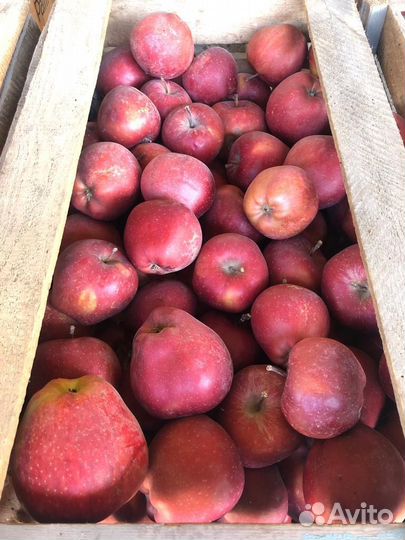 Яблоки джеромини