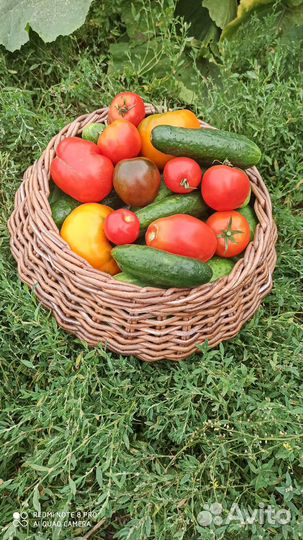 Корзина плетеная