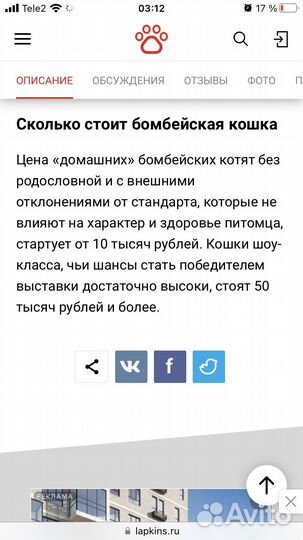 Котенок