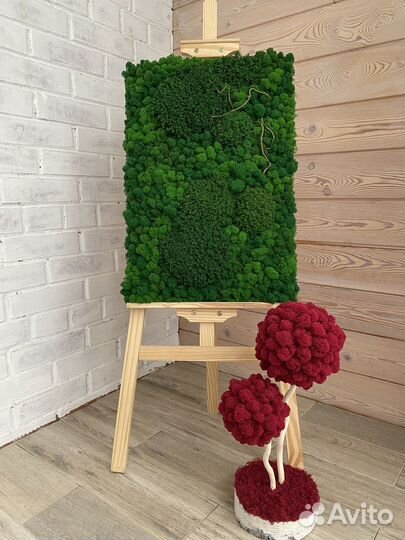 Панели из стабилизированного мха