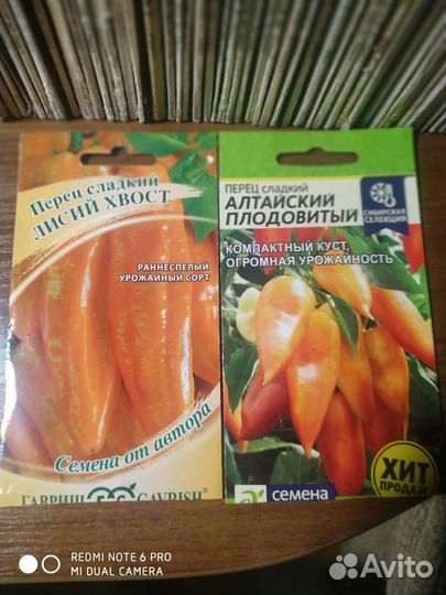 Семена сладкого перца