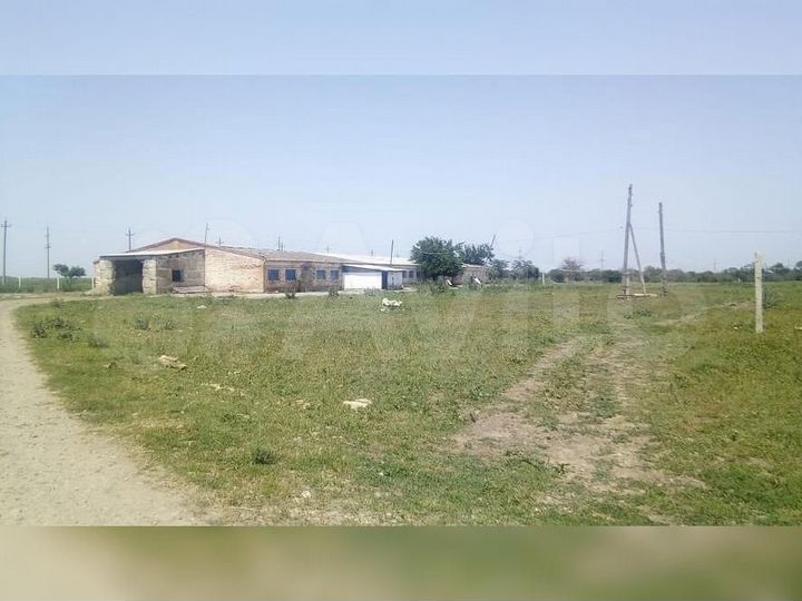 Животноводческая ферма 22 га в с. Грушевское