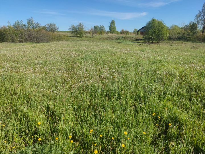 Участок 15 сот. (ИЖС)