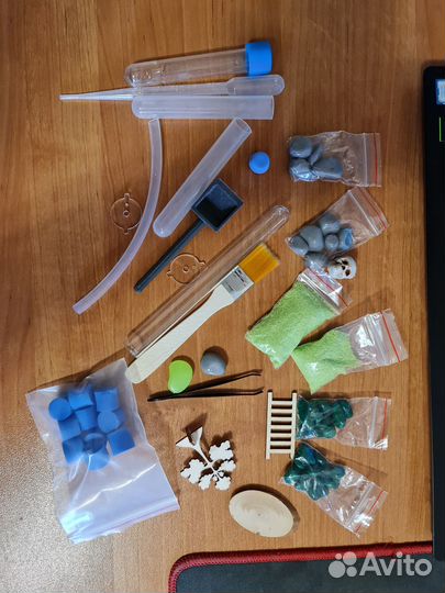 Муравьиная ферма (большая) с муравьями